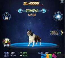 传奇手游开服表网站